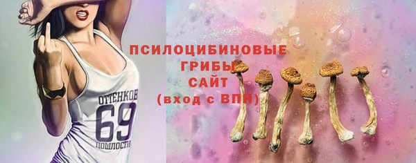 spice Алексеевка