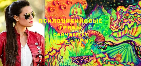 spice Алексеевка