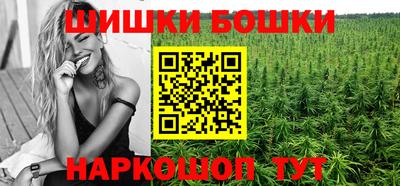 шишки Кингисепп