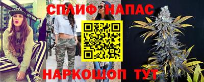 шишки Кингисепп
