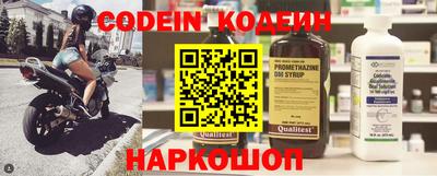 шишки Кингисепп