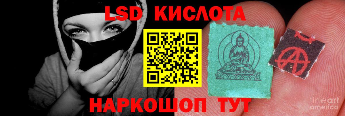 Новозыбков  Лсд 25 экстази ecstasy  ссылка на мегу ТОР  Вход с VPN  ЛСД экстази кислота 