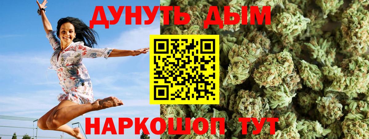 Новозыбков  Бошки марихуана семена  Вход с VPN  Марихуана THC 21% 